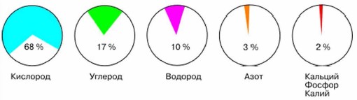 Хим Состав Клетки Контрольная Работа